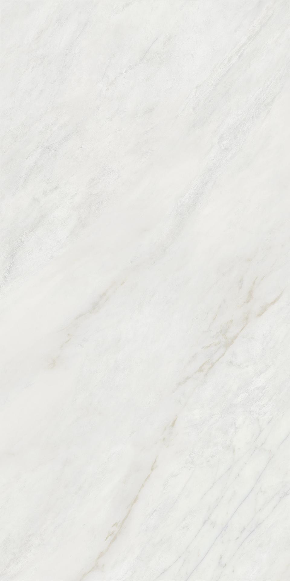奥斯丁 750x1500