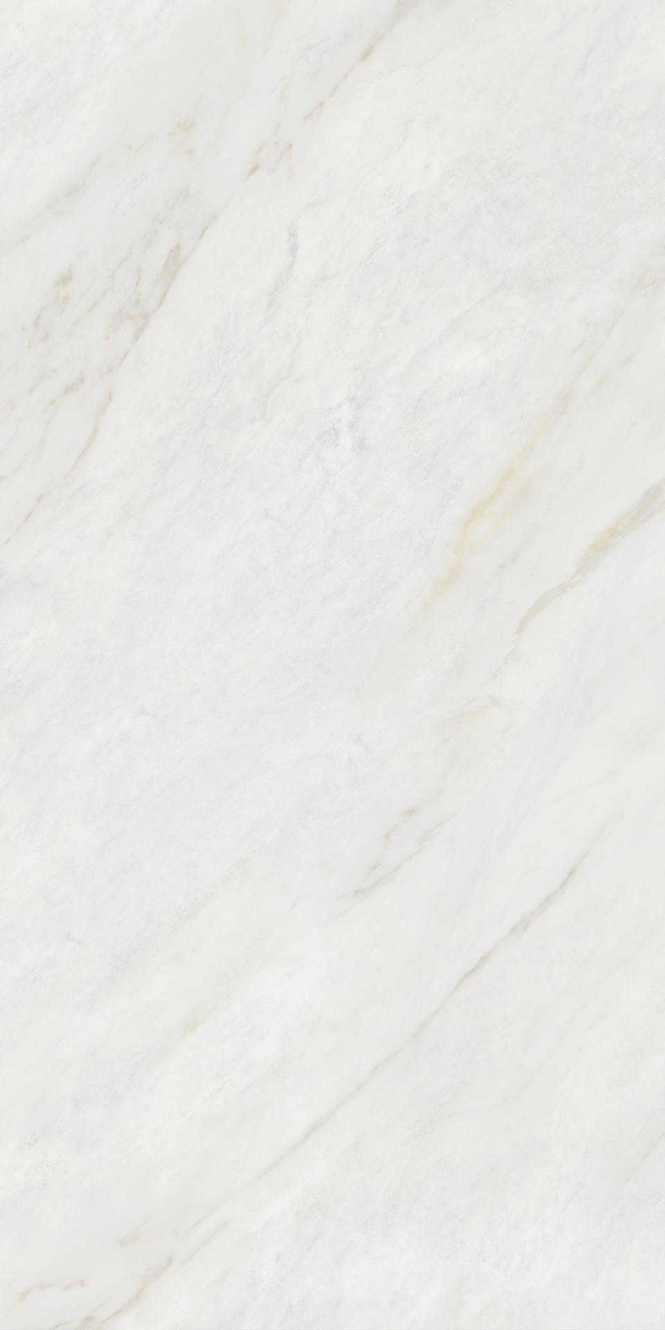 奥斯丁 750x1500