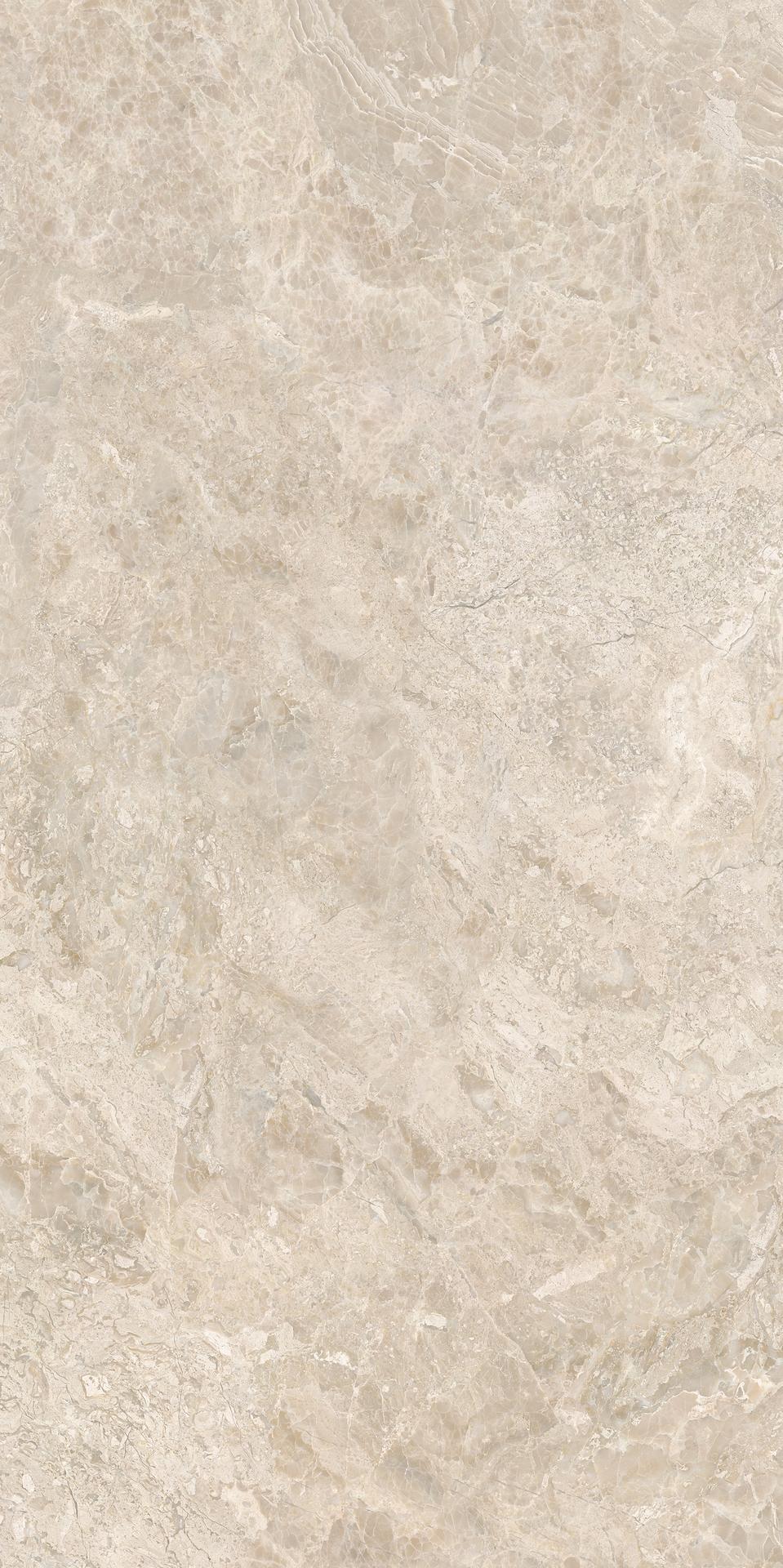 隐逸石 900x1800 MA891376P