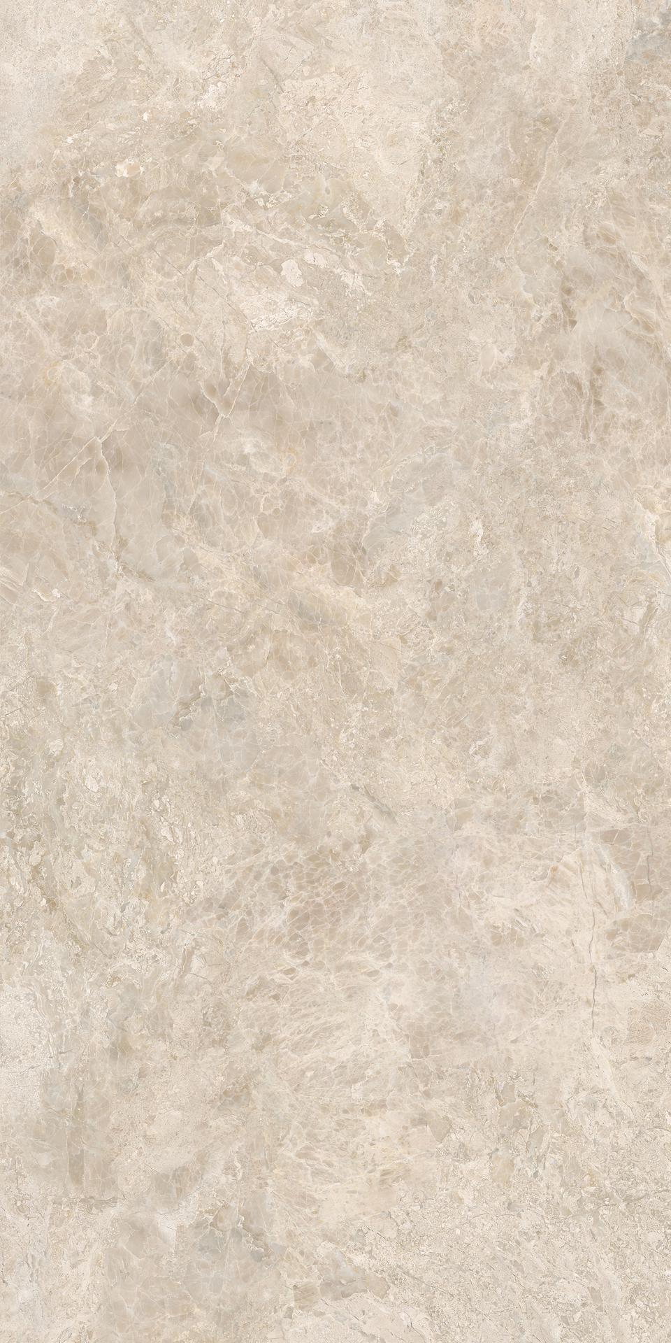 隐逸石 900x1800 MA891376P