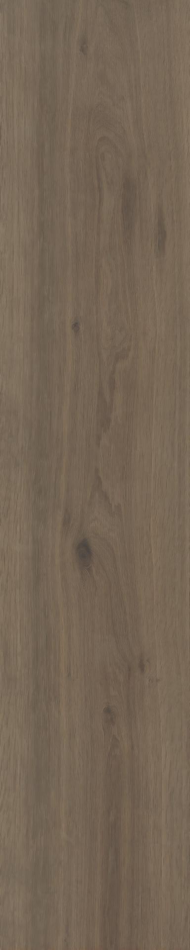 森语系列 300x1500