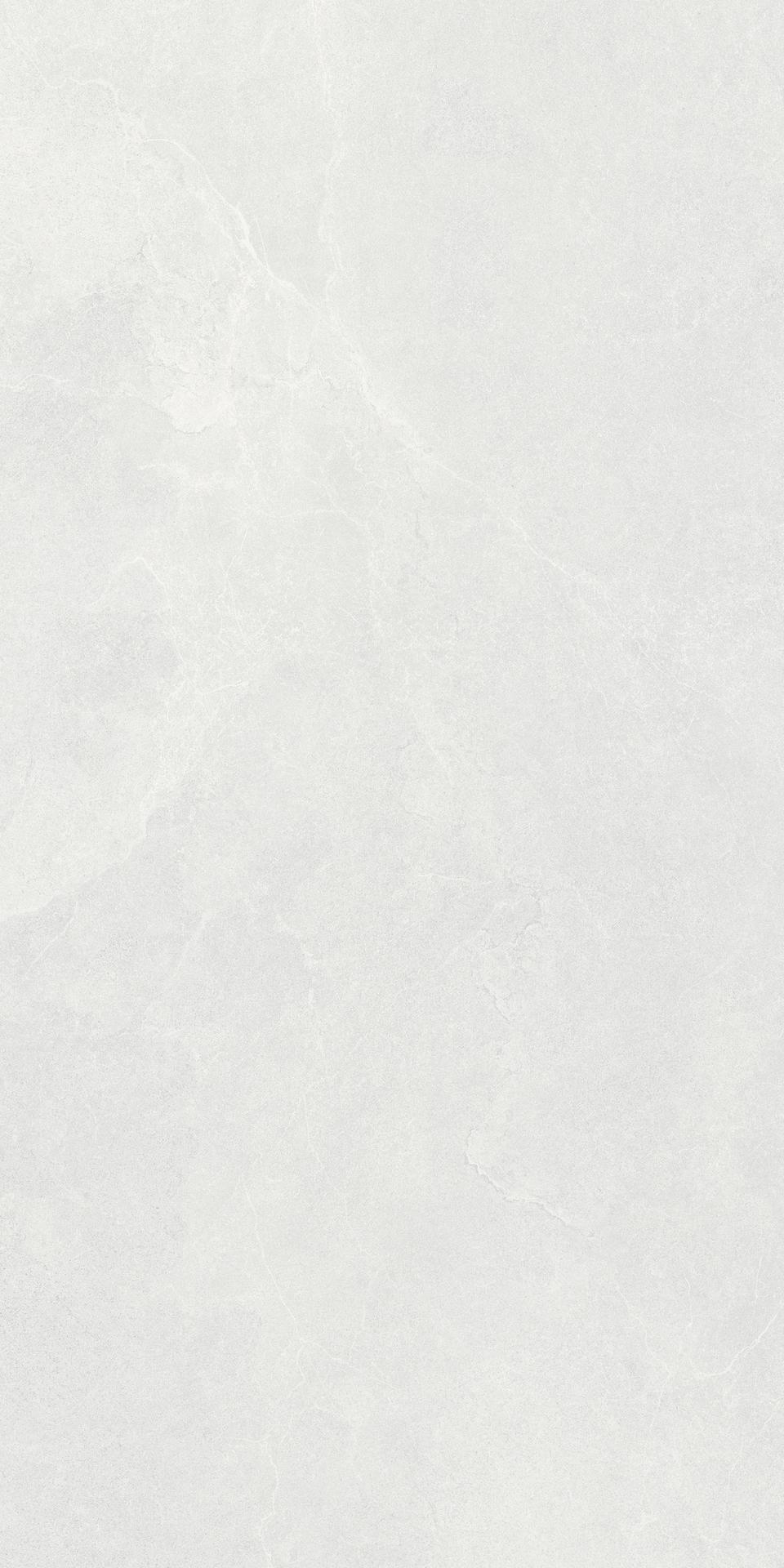 瓦莫拉 600x1200 C26344R