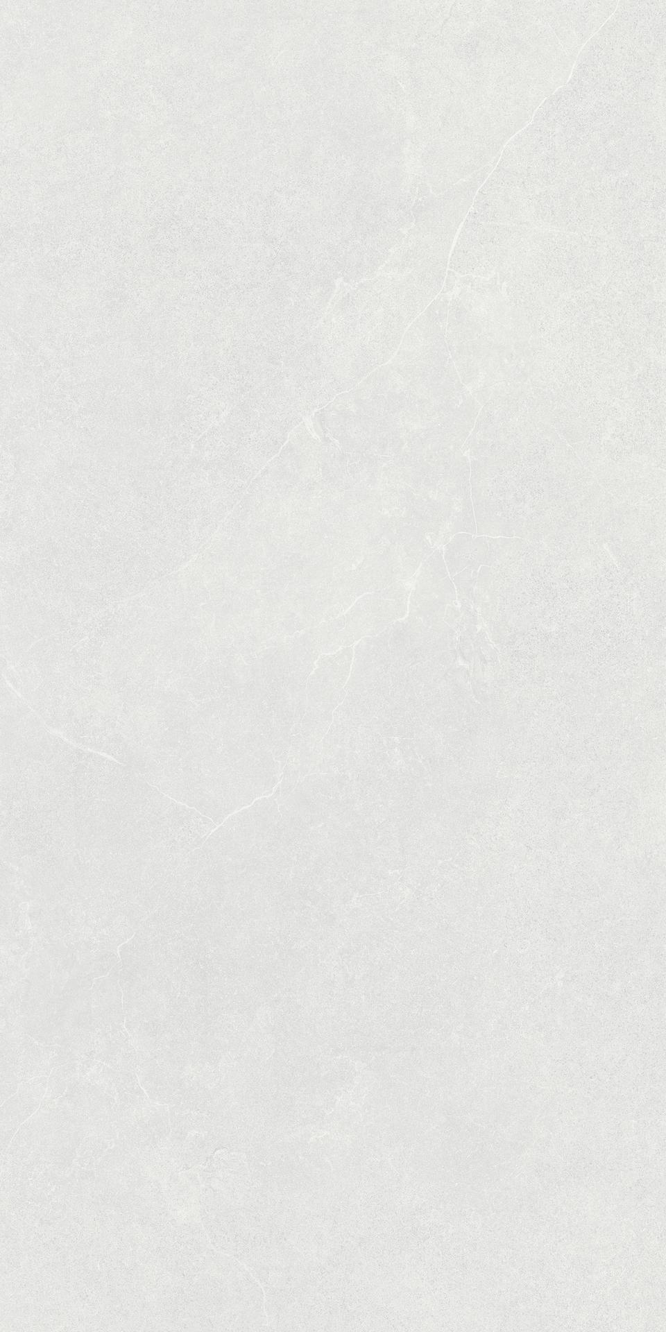 瓦莫拉 600x1200 C26344R