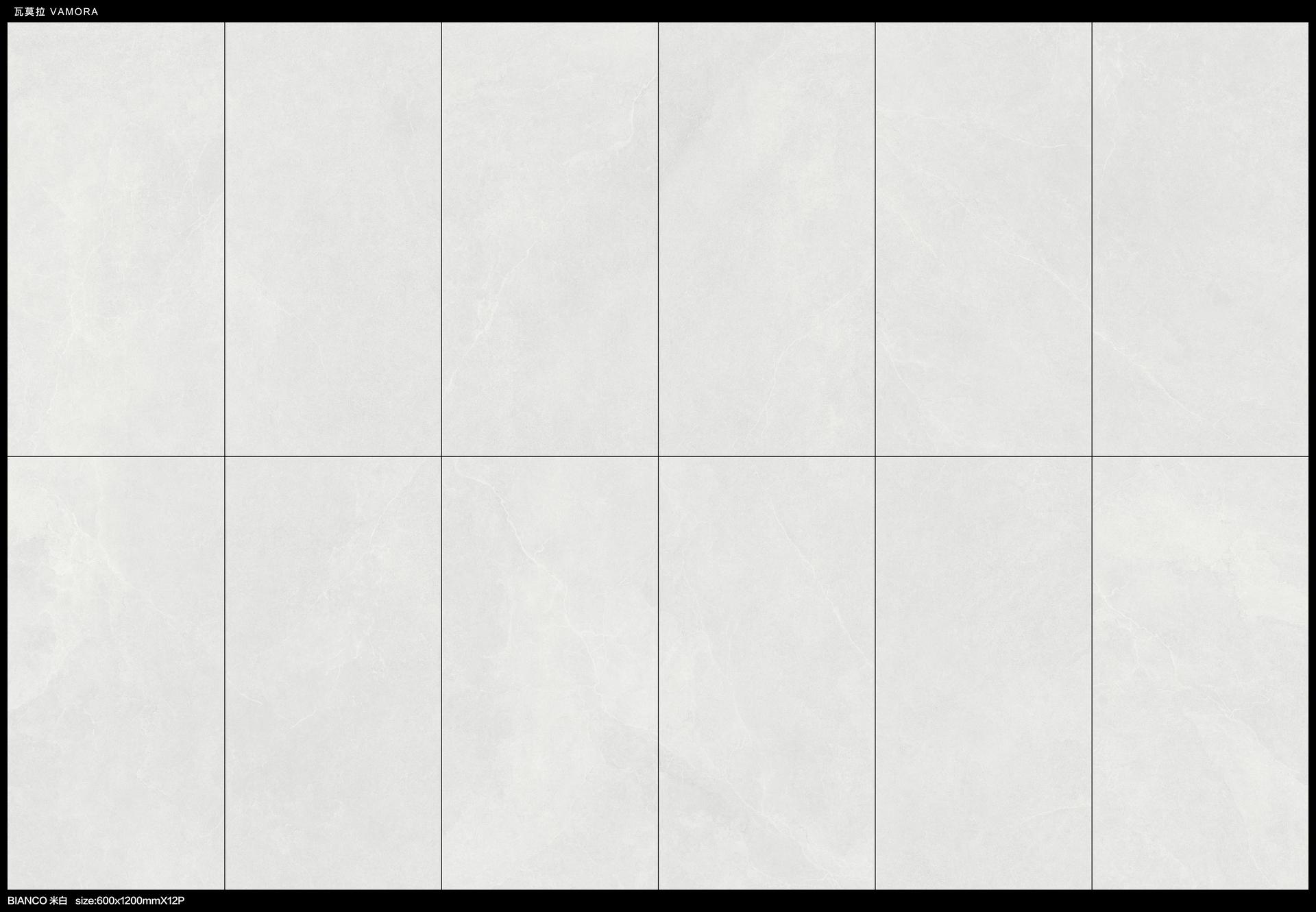 瓦莫拉 600x1200 C26344R