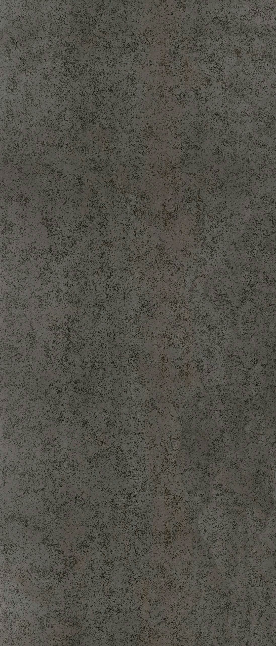 流金岁月 S128417N
